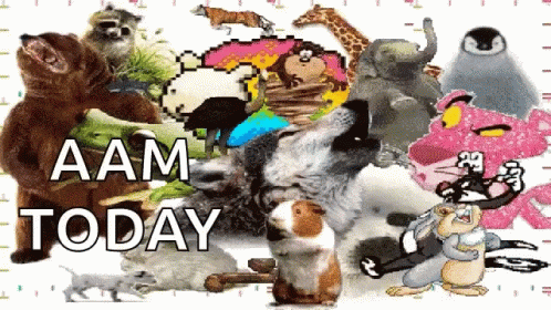 Cluster Bunch GIF - Cluster Bunch Animals GIFs