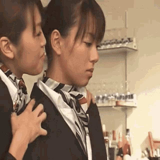 Japanese Stewardess GIF - Japanese Stewardess Flight Attendant GIFs