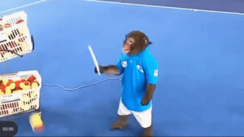 Monkey Tennis GIF - Monkey Tennis Ball GIFs