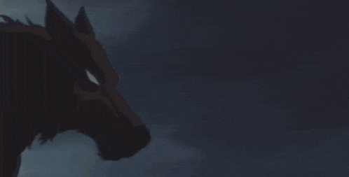 a close up of a horse 's head against a dark sky