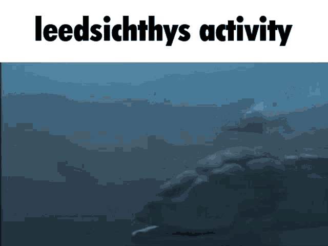 Leedsicthys Activity Leedsichthys Activity GIF - Leedsicthys Activity Leedsichthys Activity Leedsicthys GIFs