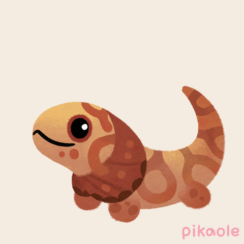 a drawing of a bearded dragon with the name pikoole on the bottom
