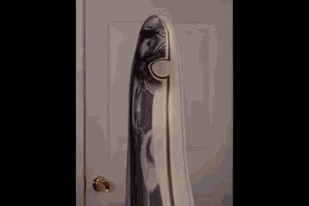 a ghostly figure is standing in front of a door covered in a white cloth