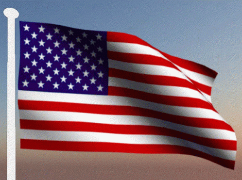 Veterans Day America GIF - Veterans Day America Flag Of The United States GIFs