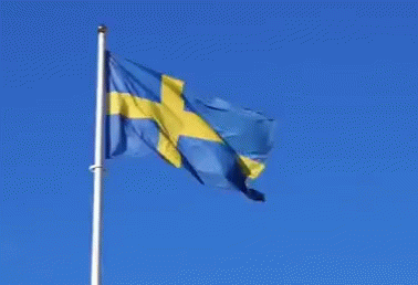 Sweden Svensk GIF - Sweden Svensk Flagga GIFs