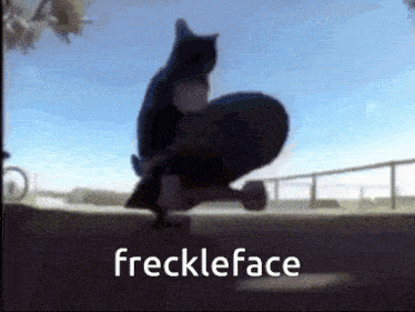 a cat is riding a skateboard with the words freckleface written below it