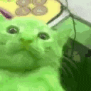 a green cat is looking at the camera while sitting on a green blanket .