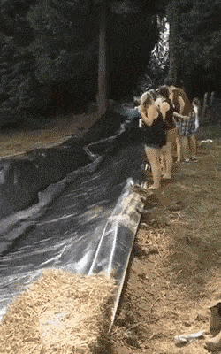 a group of people standing next to each other near a pile of hay