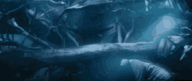 a person is holding a tree branch in the dark