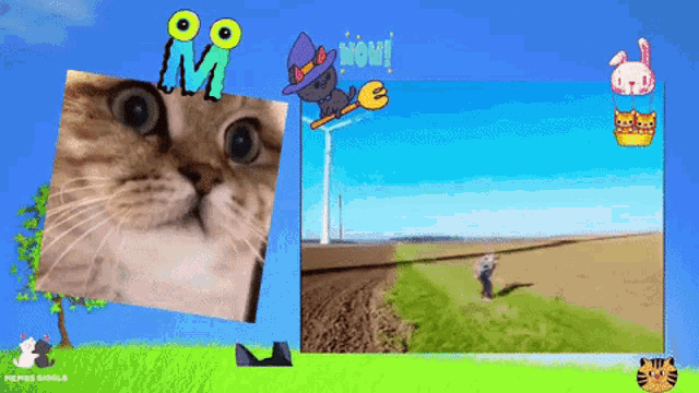 Cat Cats GIF - Cat Cats Wind Turbine GIFs