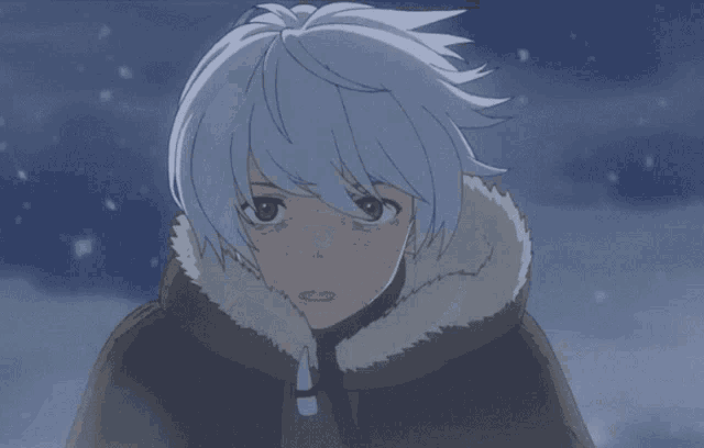 a cartoon character with white hair and a fur collar is standing in the snow