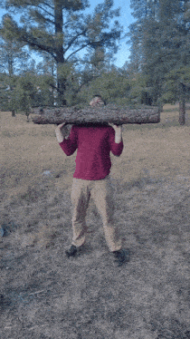 a man is carrying a large log over his head