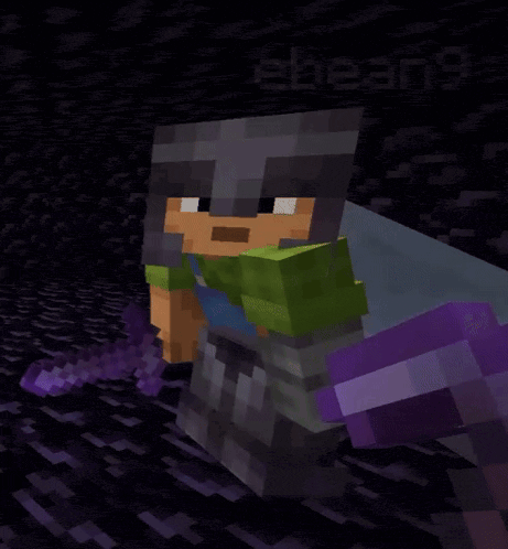 a screenshot of a minecraft character with the name ebear9