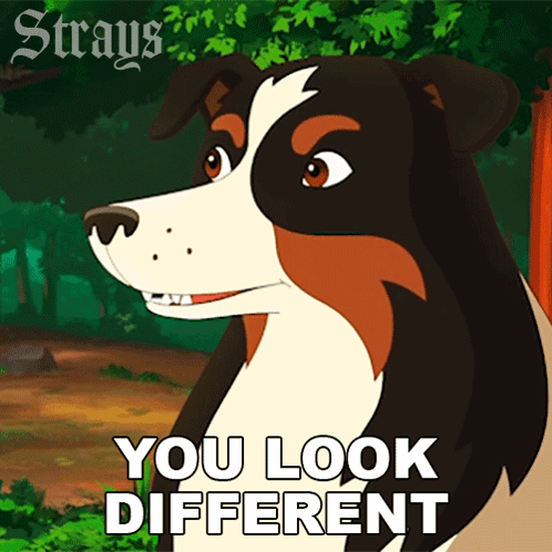 You Look Different Maggie GIF - You Look Different Maggie Strays GIFs