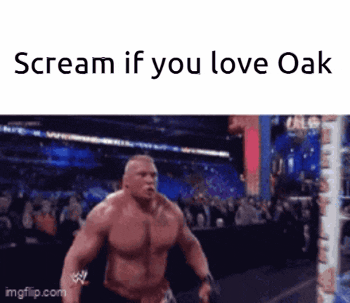 a meme of brock lesnar with the words scream if you love oak