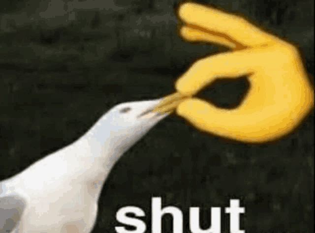 a seagull is being fed by a yellow hand with the word shut written on it .