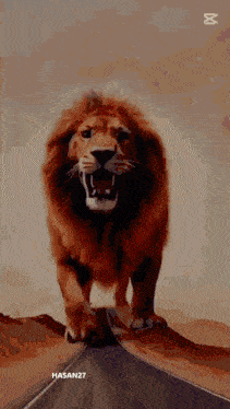 a lion with its mouth open is standing on a road