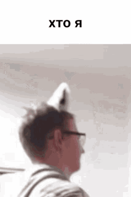 a man wearing glasses and a cat ear headband with the word xto written on the bottom