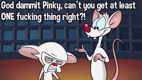 Pinky And The Brain God Dammit Pinky GIF - Pinky And The Brain God Dammit Pinky Cant You Get At Least One Fucking Thing Right GIFs