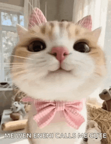 a cat wearing a pink bow tie and pink ears is looking at the camera .