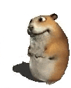 a hamster is sitting on a white surface and looking at a piece of paper .