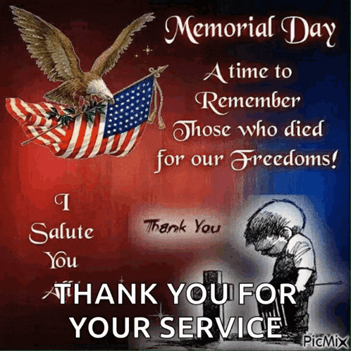 memorial day a time to remember those who died for our freedoms ! i salute you thank you for your service