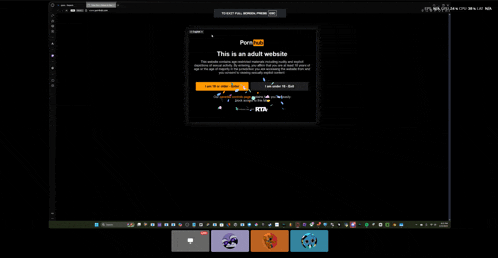 a computer screen displays a porn hub ad