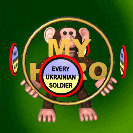 a cartoon monkey with the words " my hero every ukrainian soldier " on it