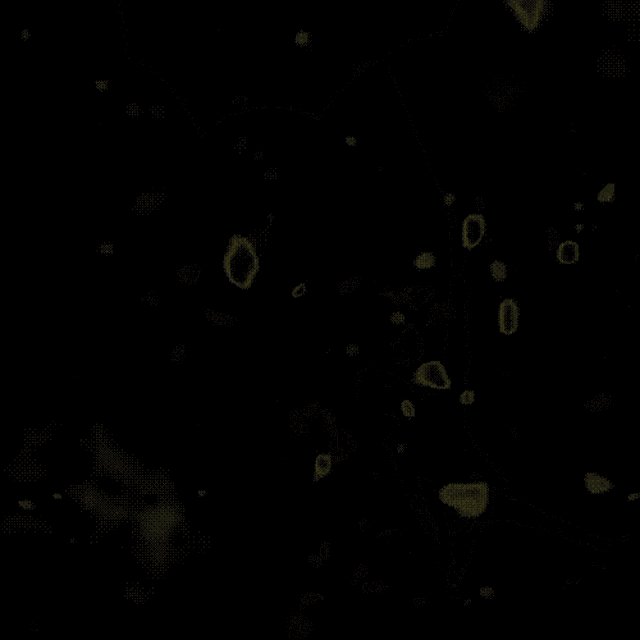a white background with a lot of black dots on it