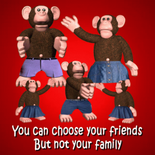 Monkey Family Monkey Troop GIF - Monkey Family Monkey Troop Choose Your Friends GIFs