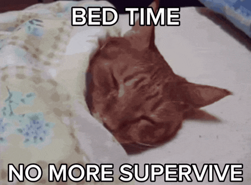a cat is sleeping on a bed with the words bed time no more supervive above it