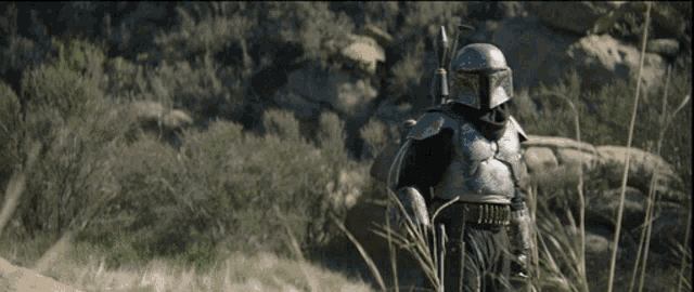 a man in armor is standing in the grass