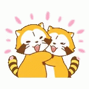 Hug Raccoon GIF - Hug Raccoon Sticker GIFs