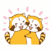 two raccoons are hugging each other and looking at each other .