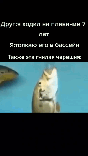 Fish тонет GIF - Fish тонет GIFs