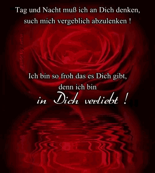 a picture of a red rose with the words tag und nacht on it
