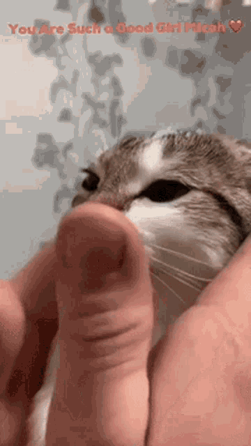 a cat is being held in a person 's hands with the words " you are such a good girl mich " written above it