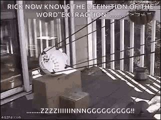 Extraction Squirrel GIF - Extraction Squirrel Slingshot GIFs