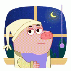 Funny Pig Night Time GIF - Funny Pig Night Time Lights Off GIFs