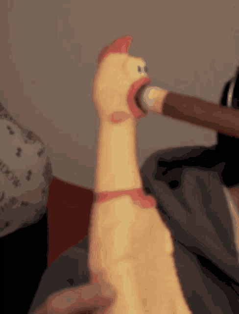 a person is holding a rubber chicken with a cigar sticking out of it 's mouth