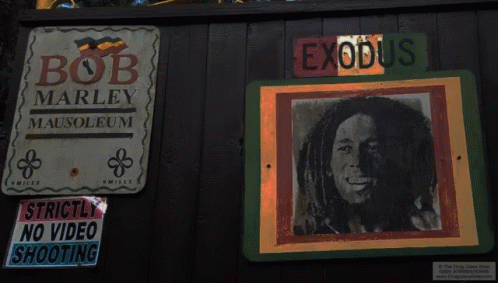 Bob Marley Marley GIF - Bob Marley Marley Bob Marley What GIFs