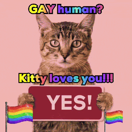a cat holding a sign that says " gay human kitty loves you "