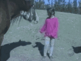 a woman in a pink sweater is standing next to a horse on a beach .