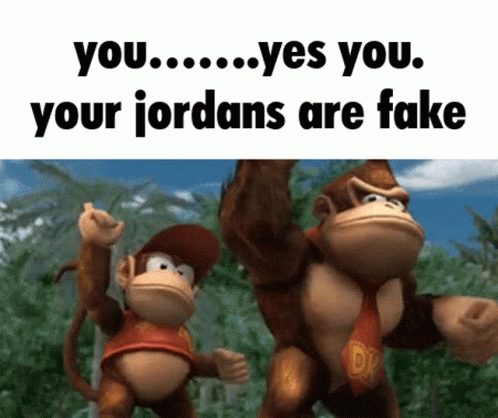 Jordans Fake GIF - Jordans Fake Fake Jordans GIFs