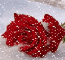 a red rose is sitting in the snow with snow falling around it .