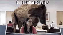 Humpday Wednesday GIF - Humpday Wednesday Camel GIFs