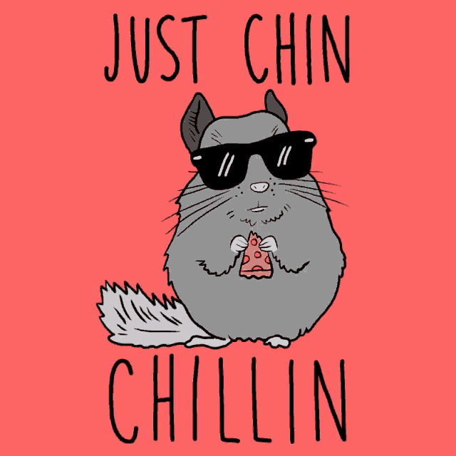 a cartoon of a chinchilla wearing sunglasses and eating a slice of pizza