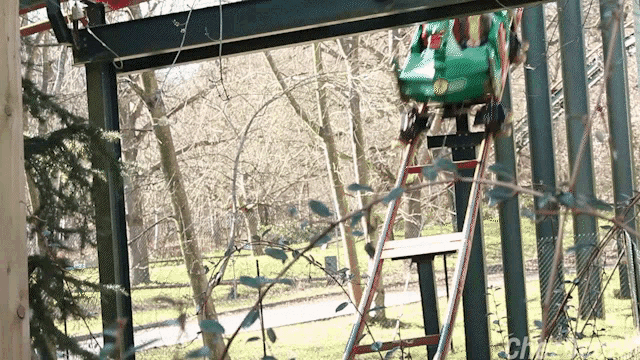 a green roller coaster is going down a ladder in a park