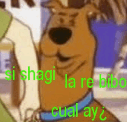 Scooby Doo Shaggy GIF - Scooby Doo Shaggy Meme GIFs