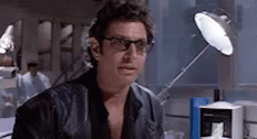 Well There It Is Jeff Goldblum GIF - Well There It Is Jeff Goldblum Told You GIFs